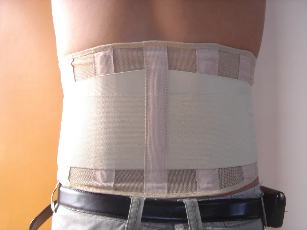 Breathable Fish Line Cloth Lumbar Back Support